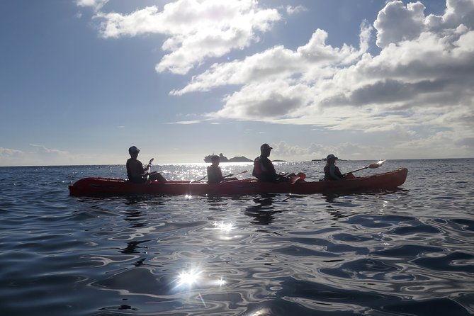 St Thomas Sea Turtle Snorkel Kayak Adventure Tour - Customer Experiences and Feedback