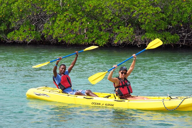 St Thomas Shore Excursion: Mangrove Lagoon Kayak and Snorkel Tour - Cas Cay Exploration