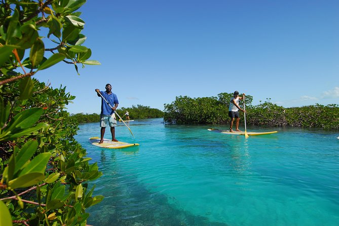 Stand up Paddleboard Eco Tour - Environmental Considerations