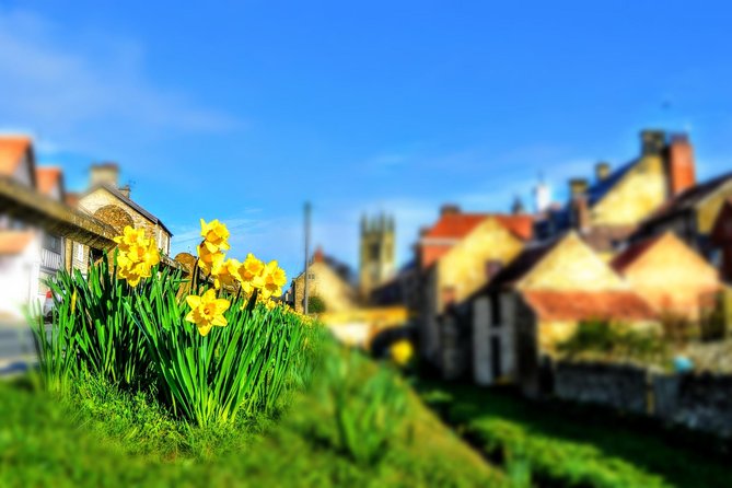 Steam Trains, Whitby, and the North York Moors Full-Day Tour From York - Unraveling the History of Whitby