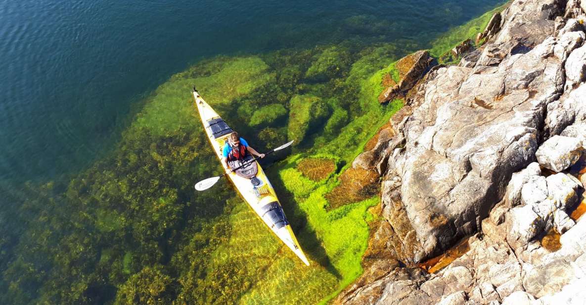 Stockholm: 1, 2, or 3-Day Kayaking Tour in the Archipelago - Tour Experience Highlights