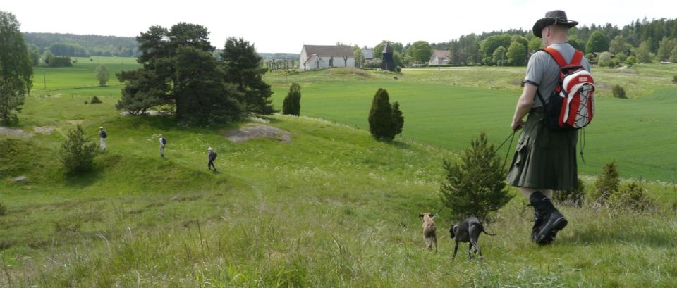 Stockholm Icelandic Horses, Countryside and Swedish History - Icelandic Horses at the Farm