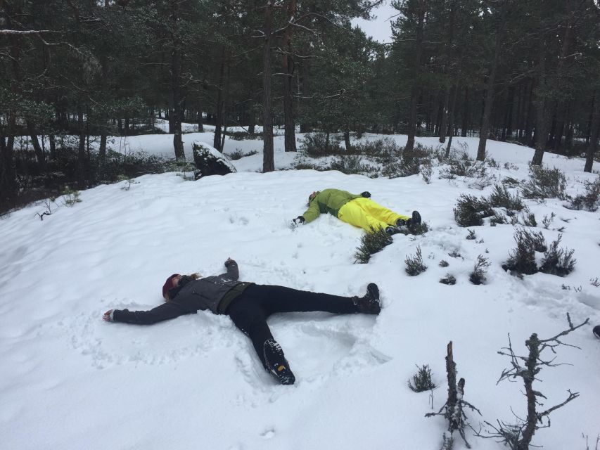 Stockholm: Nature Reserve Hiking Tour With Campfire Lunch - Experience Highlights