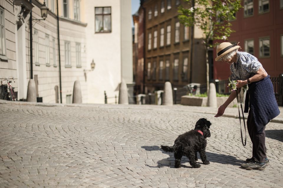 Stockholm Syndrome: 3-Hour Walking Tour - Experience and Learning