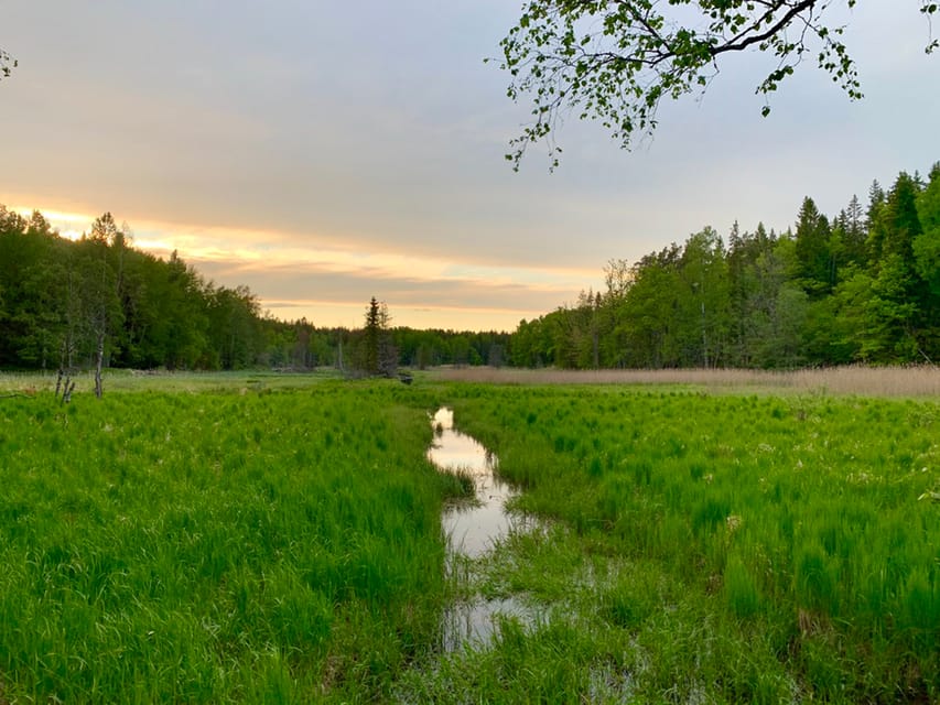 Stockholm: Tyresta National Park Sunset Hike With Meal - Itinerary Breakdown