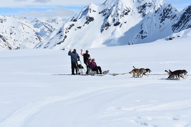 Summer Glacier Dogsledding Tour From Girdwood - The Tour Experience