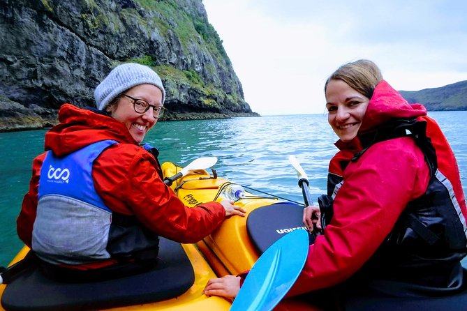 Sunrise Wildlife Sea Kayaking in Akaroa Marine Reserve - Scenic Coastal Views