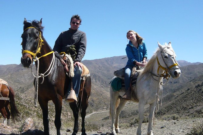 Sunset Horseback Riding - Scenic Views of the Andes