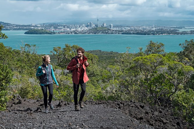 Sunset Kayak Tour to Rangitoto Island - Customer Feedback