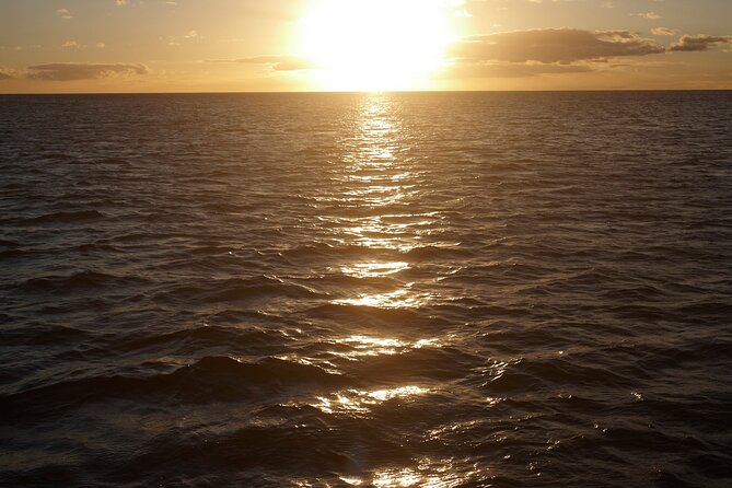Sunset Sail Experience at Kona From Honokohau - Parking Information