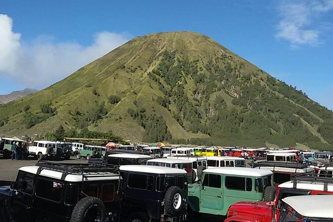 Surabaya Bromo Ijen Drop Bali 3-Day Private Tour - Customer Experiences