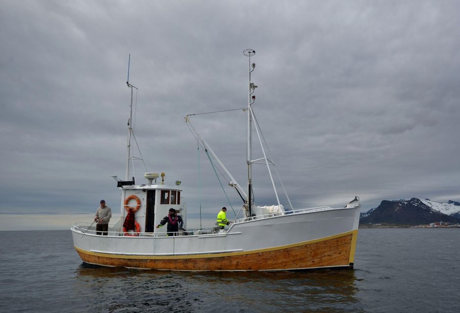 Svolvær: Fishing Trip on the Lofoten Sea - Instruction for Beginners