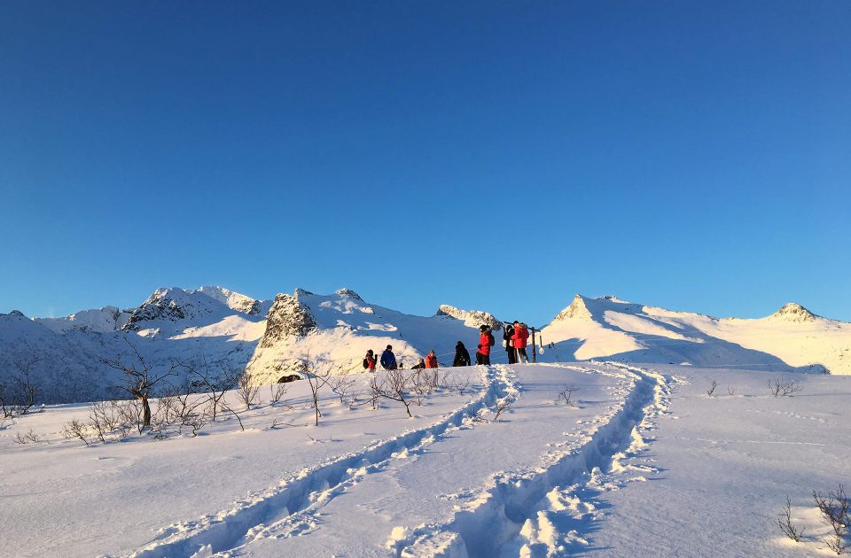Svolvær: Snowshoe Nature Explorer - Booking Process