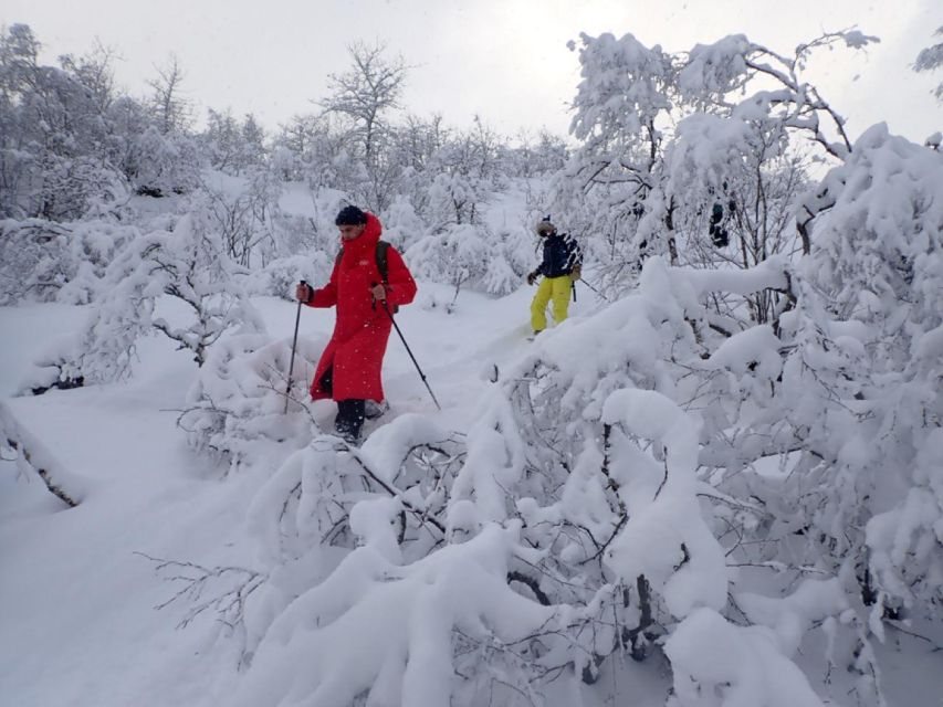 Svolvaer: Snowshoeing Half Day - Equipment and Safety