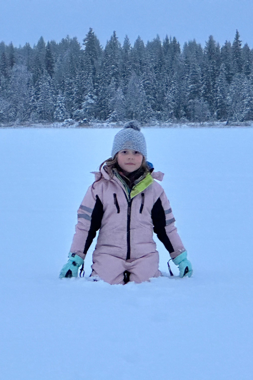 Swedish Lapland : Sled Dog and Reindeer Farm With the Family - Accommodation Features