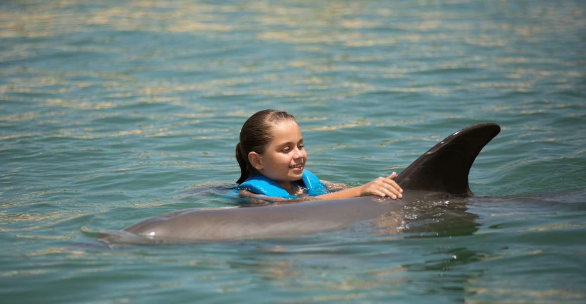 Swim With Dolphins Splash - Punta Cancun - Dolphin Behavior and Interaction