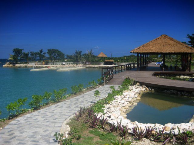 Swim With the Dolphins at Negrils Dolphin Cove - Whats Included in the Package