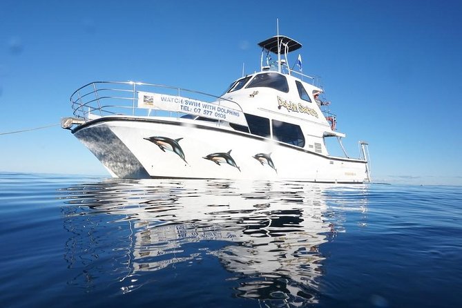 Swim With Wild Dolphins in Tauranga - Whats Included in the Tour