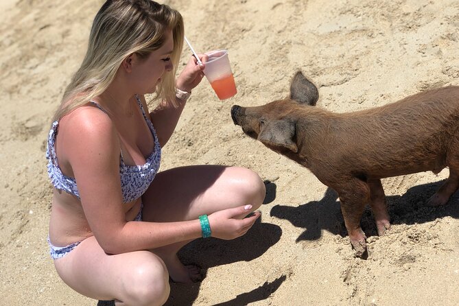 Swimming Pigs Beach Day+Snorkeling Bundle (Lunch+Tropical Drinks) - Participation Guidelines