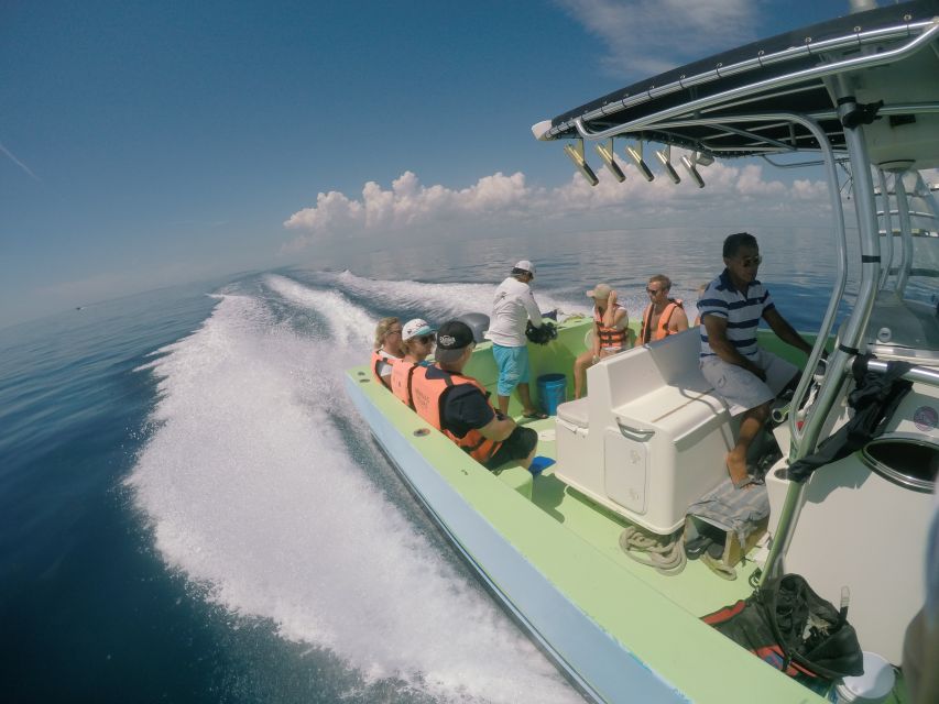 Swimming With Whale Sharks in Cancun - Whale Shark Behavior and Ecology