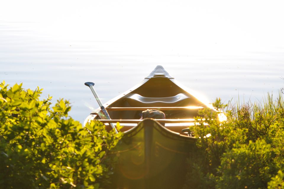 Syracuse: Ciane River Nature Reserve Guided Canoe Ride - Pricing and Booking Details