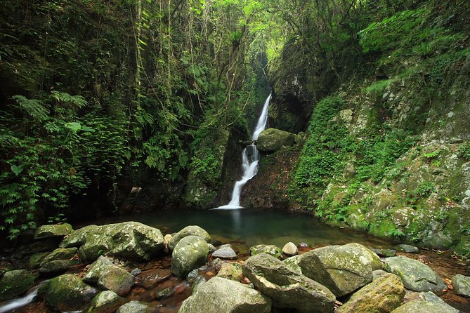 Tai Mo Shan Waterfall Adventure Hike - Recommended Gear