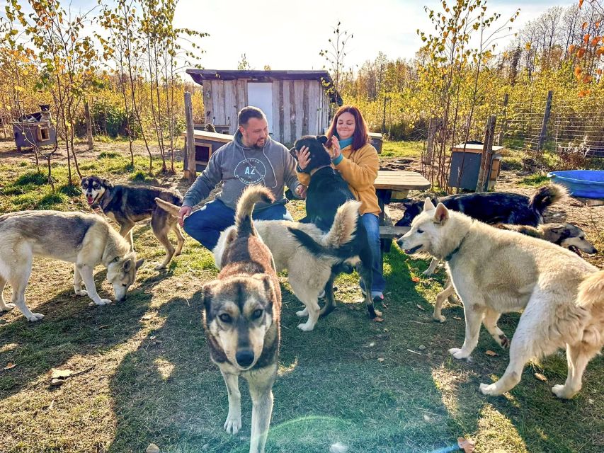 Talkeetna: Summer Sled Dog Kennel Tour - Kennel Tour Description