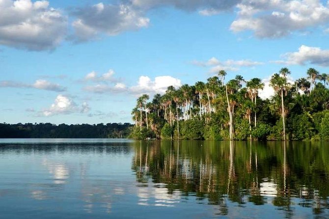 Tambopata Jungle Adventure Tour 4 Days - Included Amenities and Services