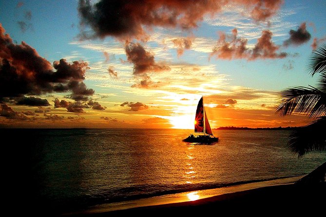 Tango Caribbean Dinner Cruise - Dining Options