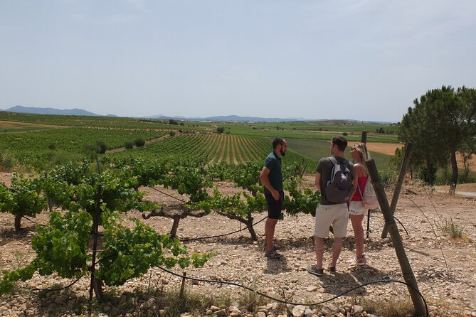 Tapas in the Vineyards - Wine Selection