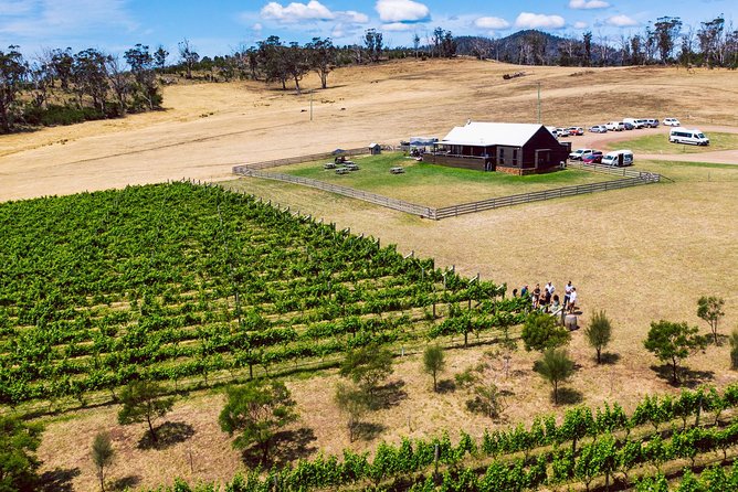 Tasmanian Premium Wine Tour With Tasmanian Cheese Platter - Flexibility in Tour Schedule