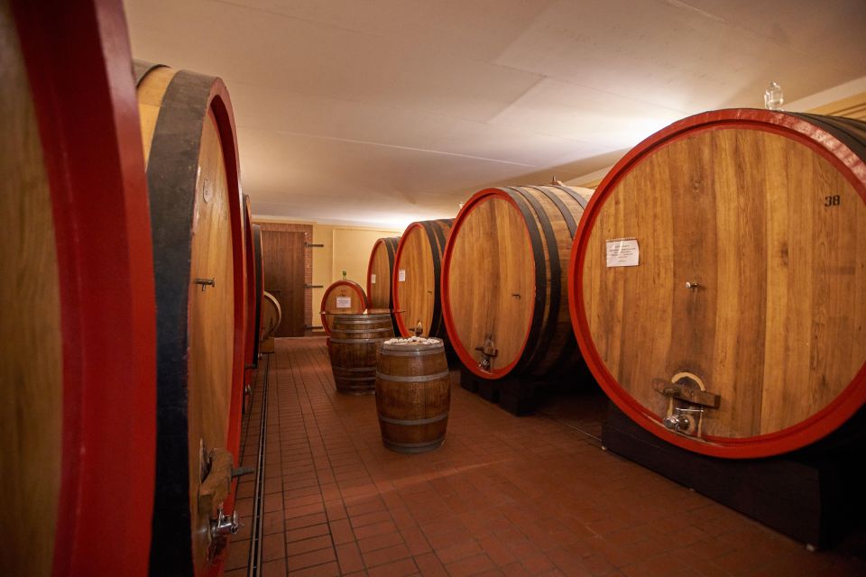 Tasting and Tour Vino Nobile Di Montepulciano - Wine Selection Offered