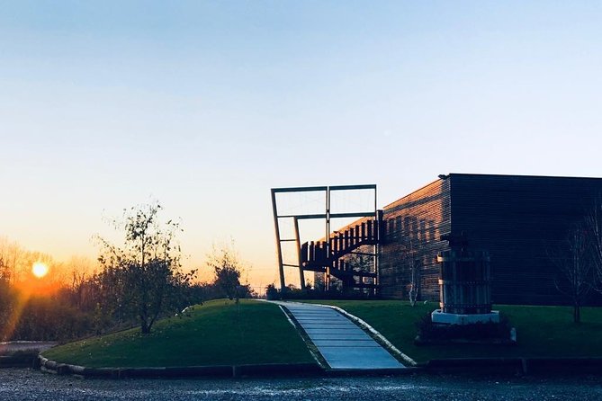Tasting in the Cellar - Educational Winemaking Insights