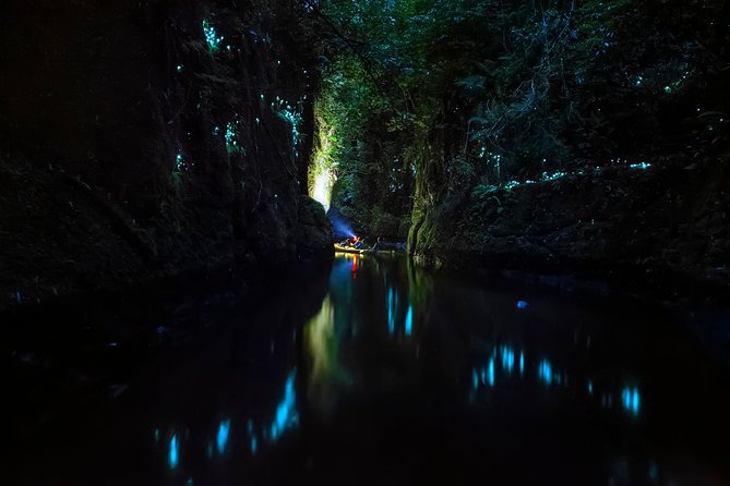 Tauranga: Evening Glowworm Kayak Tour - Traveler Experiences