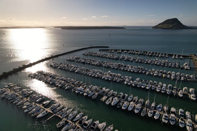 Tauranga Shore Excursion: Small-Group Bay of Plenty and Tauranga Tour - Accessibility Information