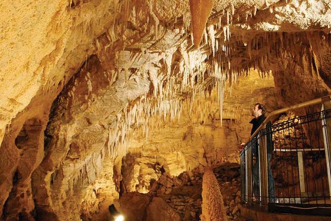 Tauranga - Waitomo : Ancient Glow-Worm Caves Shore Excursion - Traveler Experience and Reviews