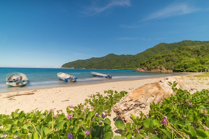 Tayrona Park Private Hike Tour to Cabo San Juan - Daily Itinerary and Activities