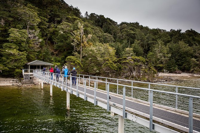 Te Anau Glow Worm Caves Tour - Glow Worm Cave Exploration