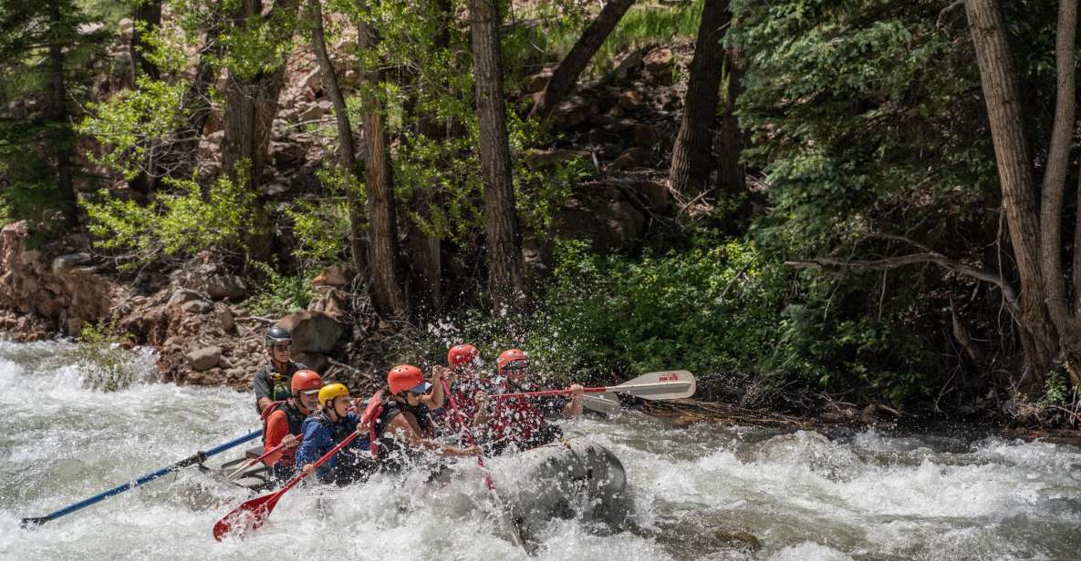 Telluride Whitewater Rafting - Morning Half Day - Safety Precautions