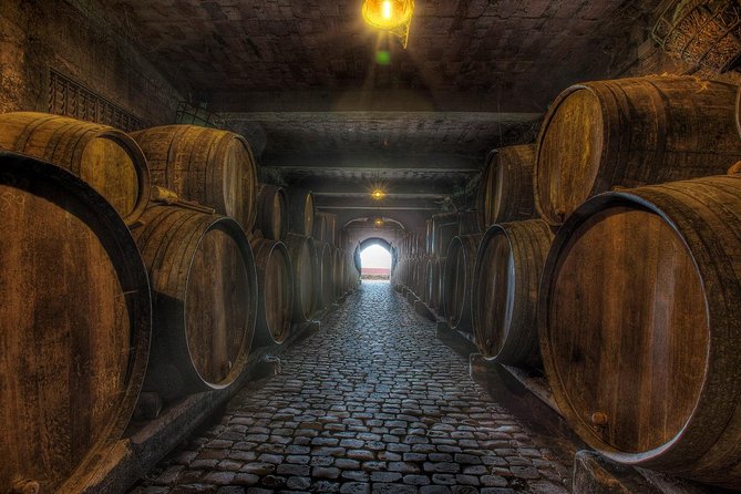 Tenerife Gastronomy Tour With Two Winery Visits and 4-Course Lunch - Customer Reviews