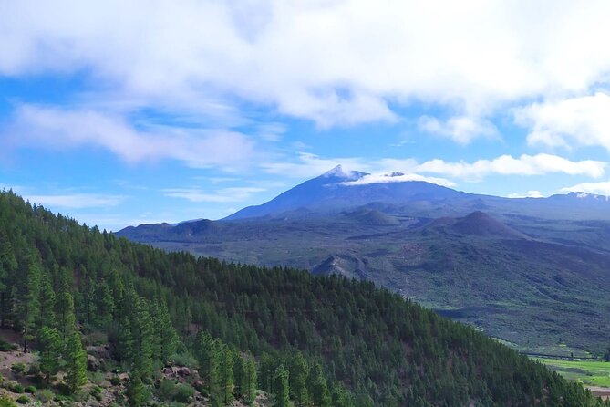 Tenerife: Hiking Through Enchanted Laurel Forest Above Masca - Group Size and Experience