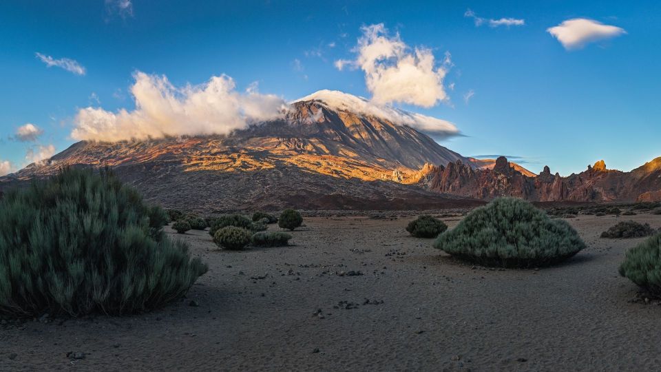 Tenerife: Teide National Park and Dolphins Sailboat Tour - Inclusions