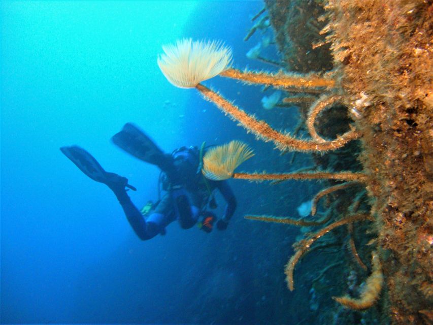 Terceira: Angra Do Heroismo Scuba Diving Tour With 2 Dives - Exclusions