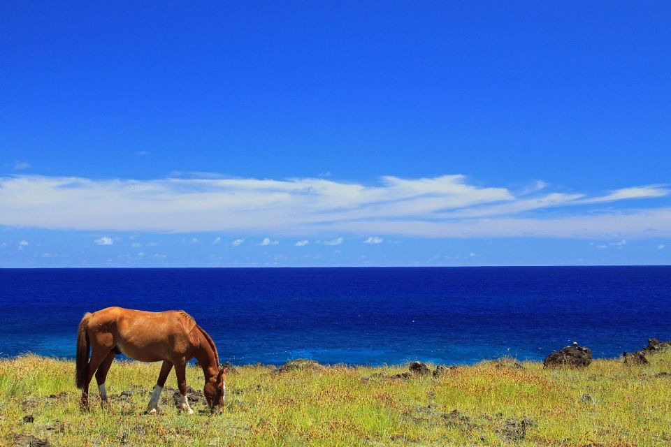 Terevaka Horse Excursion: the Highest Point and 360° View. - Itinerary Details