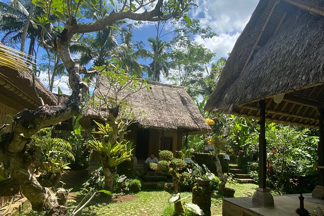 The Amazing Bali: Batur Volcano-Water Temple- Rice Terraces - Tour Inclusions and Exclusions