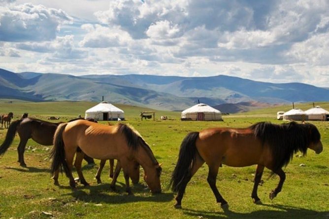The Best 3 Day Tour in Mongolia - Itinerary Insights