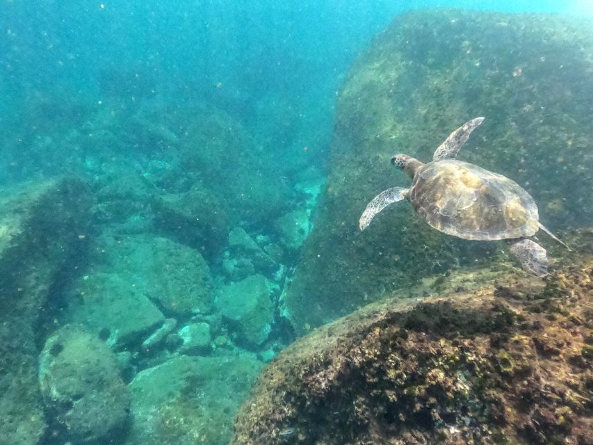 The BEST Angra Dos Reis Tours and Things to Do - Unique Activities Available