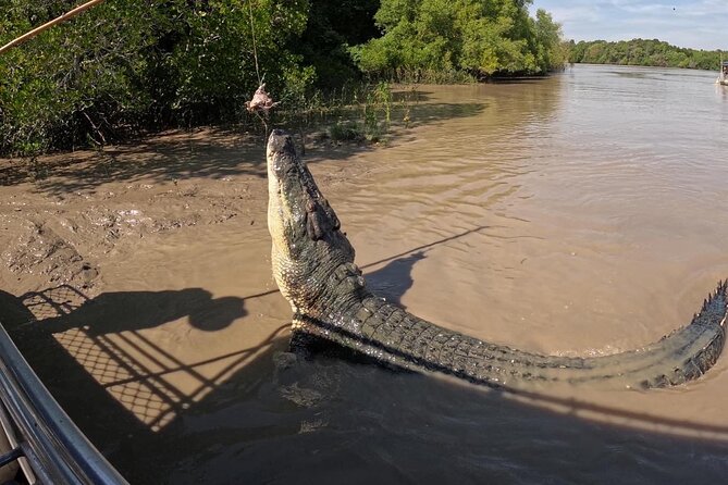 The Croc Bus to the Famous Jumping Crocodile Cruise - Customer Feedback and Reviews