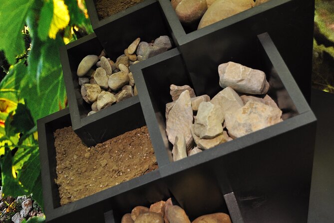 The Discovery Trail at Maison Brotte - Accessibility and Accommodations