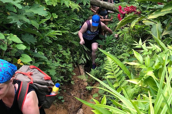 The El Yunque off the Beaten Path Hiking Tour With Transport - Tour Duration and Schedule